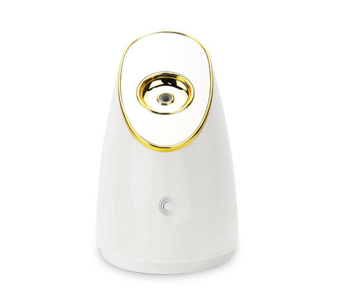 Ionic Facial Steamer